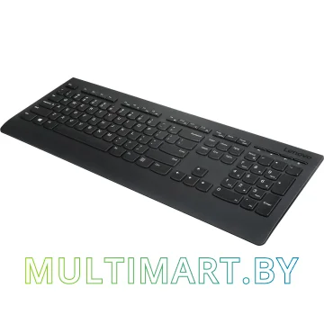 Комплект клавиатура + мышь Lenovo Professional Wireless Combo картинка 11